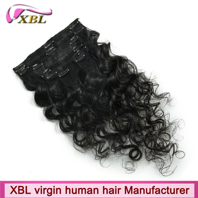 Clip in Hair Virgin Brazilian Human Hair Clip Hair Extension